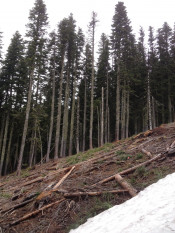 Proposed mountain bike routes threaten further erosion to an already fragile landscape.
