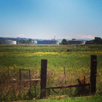 View of the Clatskanie oil terminal from neighboring farm property.