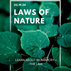 LAWS OF NATURE 02.19.24