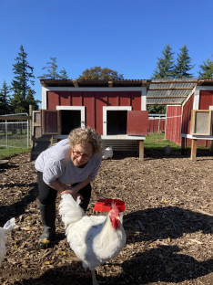 Professor Tischler visits Green Acres Farm Sanctuary in Silverton, Oregon, and makes a new friend...