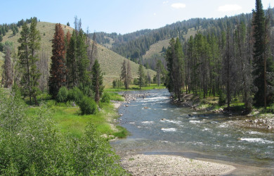 Salmon River in Idaho. A new court order requires EPA to set better arsenic standards for the state's waterways.