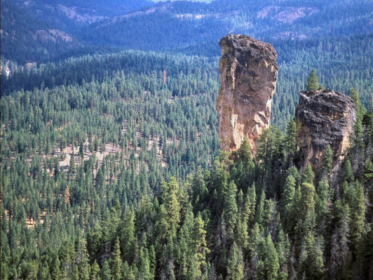  The forest is loved for its canyons and soaring pinnacles including a pair of volcanic plugs called the Twin Pillars.