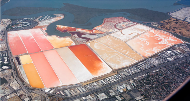 Before the pink and red commercial salt ponds that exist today, the San Francisco Bay's coastline was scattered with hundreds of thousand...