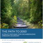 The Path to 2050