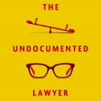 The Undocumented Lawyer poster