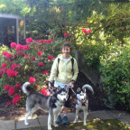 LLM 2014 grad and Naval attorney, Liz Rosso, with her dogs on the Lewis & Clark Law School campus
