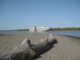 sauvie island