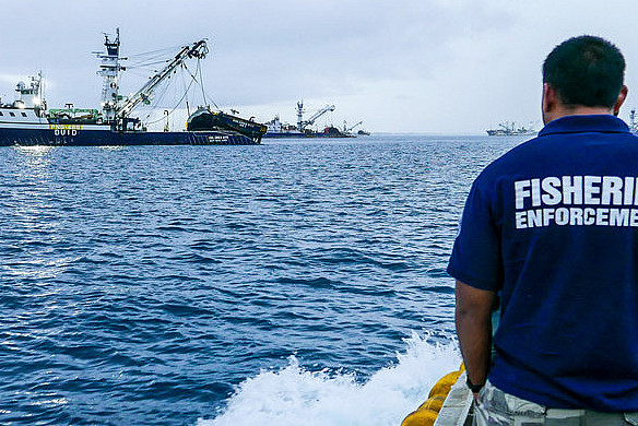 MARSHALL ISLANDS Implementing PSM in Majuro, the busiest tuna transhipment port in the Pacific.