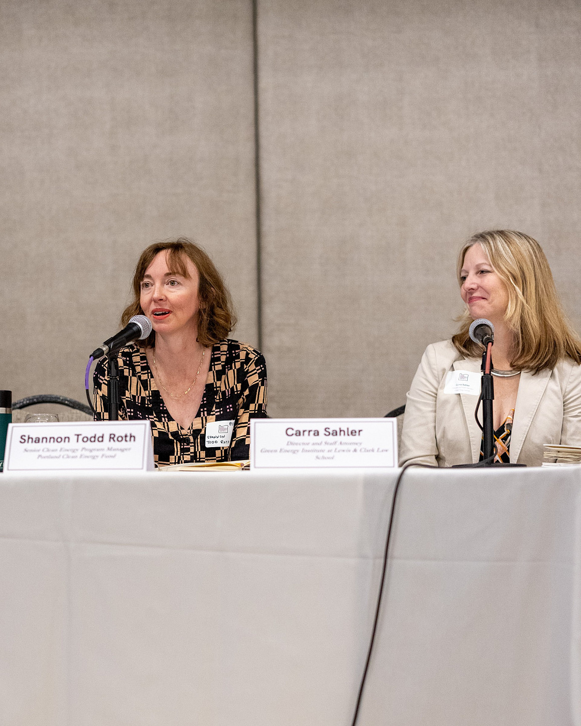 Sahler (right) presenting at the Good Grid Neighbors panel