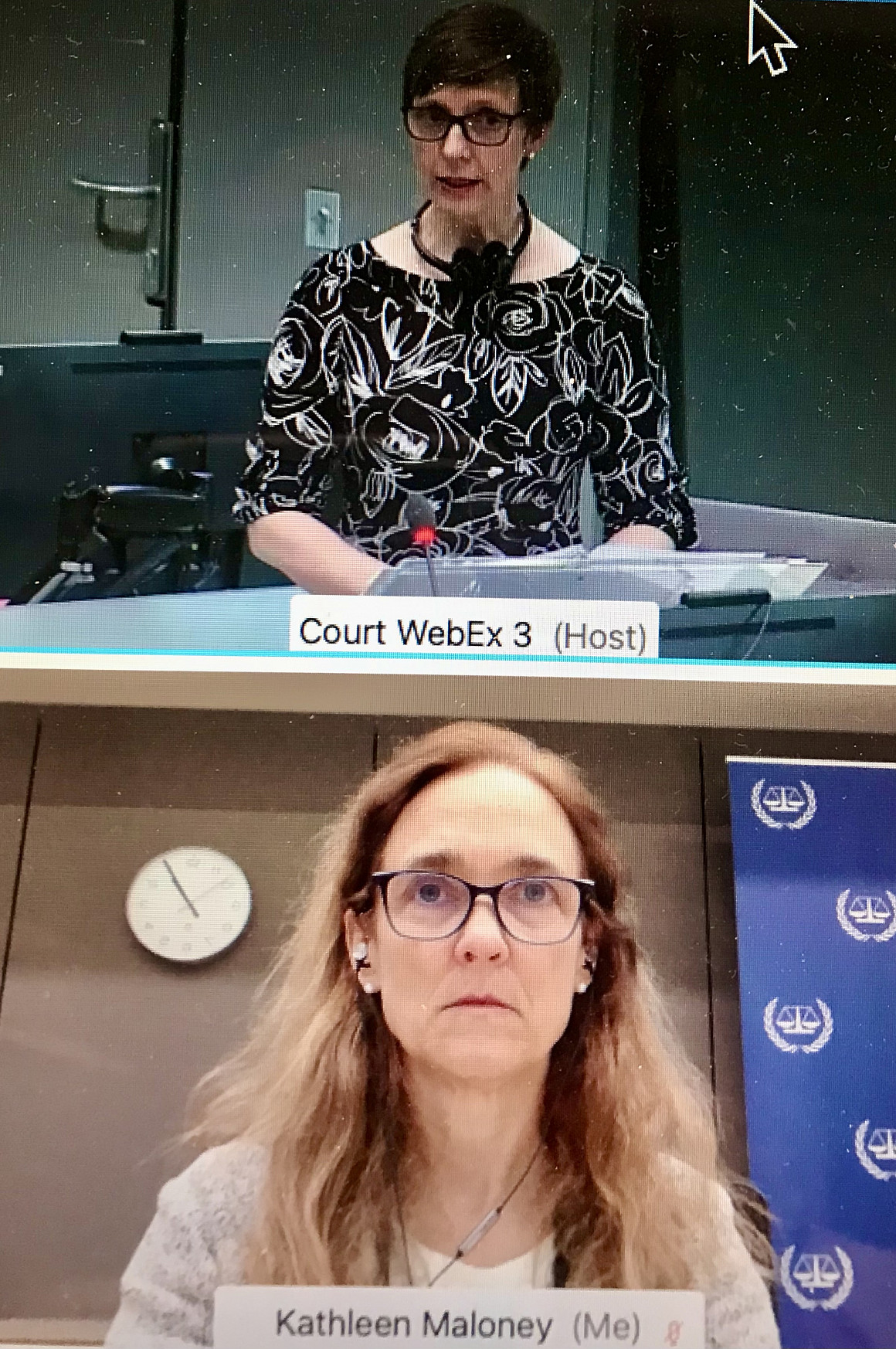 Professor Maloney at the oral hearing for the Appeals Chamber of the International Criminal Court.