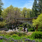 Lewis & Clark Law Campus