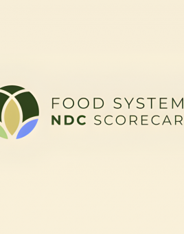 NDC Scorecard