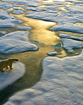 Law students gain real-world experience in legal areas through the Global Law Alliance, a collaboration between L&C's Center for...