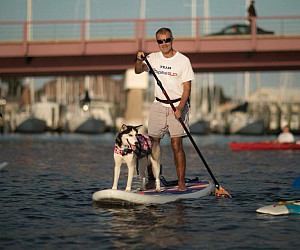Charlie Martel and husky, Deshi on a paddleboard