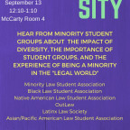 The Flyer for the Diversity Student Group Panel event