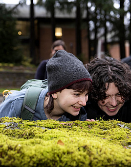 Moss: fascinating, funny, pervasive