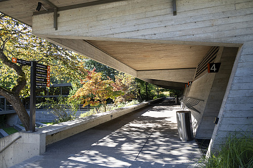 Walking along the McCarty Breezeway. McCarty Classroom Complex houses the four largest lecture halls where most 1L classes meet. A portio...