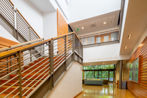 Wood Hall interior staircase. Wood Hall houses the #1 ranked Environmental Law program, as well as our nationally-recognized programs in ...