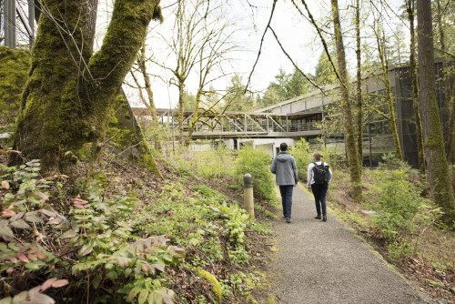 Students on the connecting pathway. Many people use the forested pathway behind our campus as a shortcut. The path begins at the back doo...