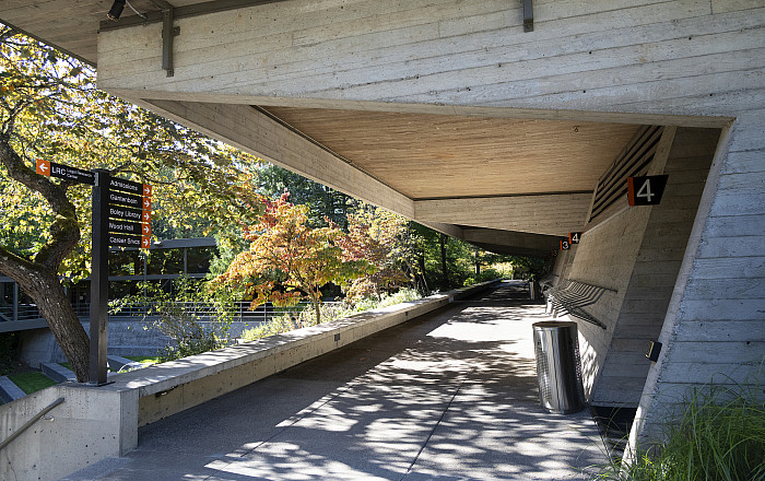 Walking along the McCarty Breezeway. McCarty Classroom Complex houses the four largest lecture halls where most 1L classes meet. A portio...