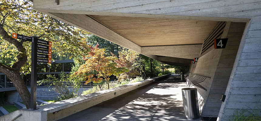Walking along the McCarty Breezeway. McCarty Classroom Complex houses the four largest lecture halls where most 1L classes meet. A portio...