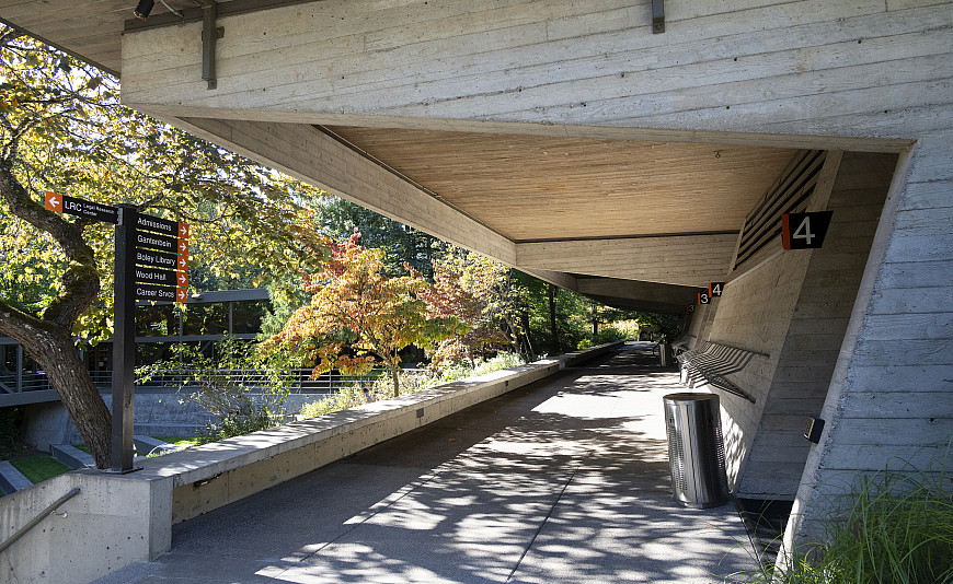 Walking along the McCarty Breezeway. McCarty Classroom Complex houses the four largest lecture halls where most 1L classes meet. A portio...