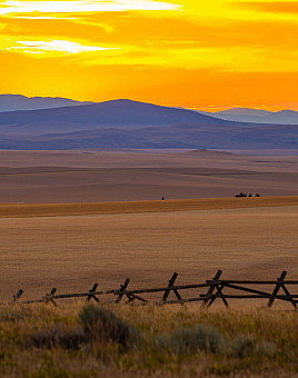 Montana Law Alumni Chapter