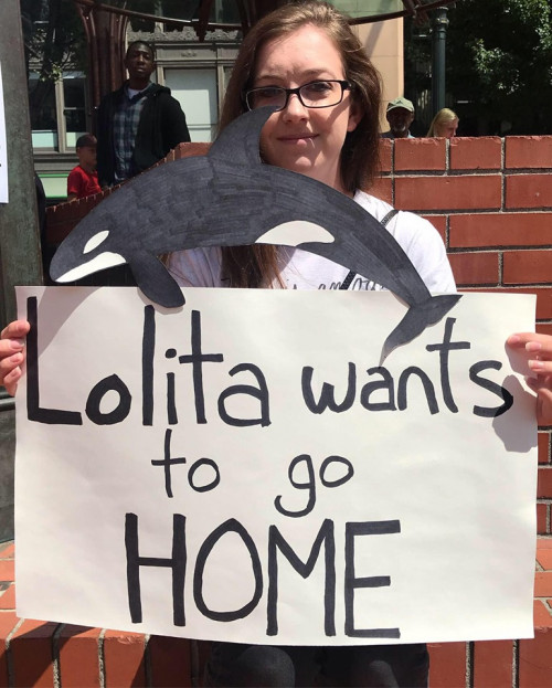 Until Lolita is Home Rally