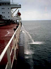 Photo credit: SERC Marine Invasions Lab