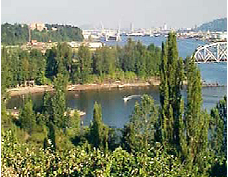 Willamette River
