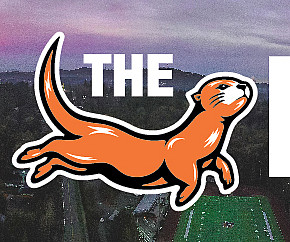 The Dock Logo