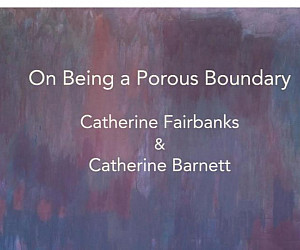 On Being a Porous Boundary