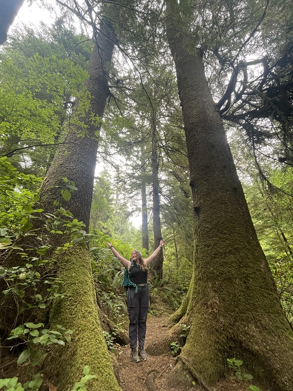 A student raises their hands in awe of tall trees on either side of them