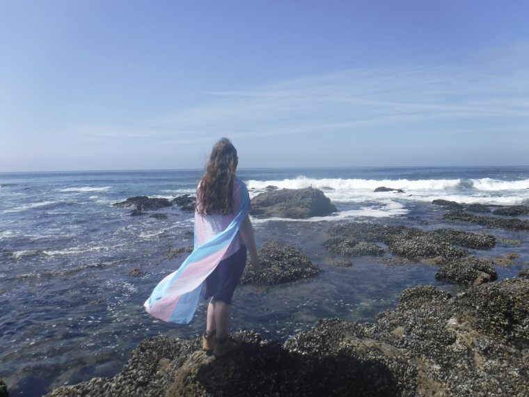 A person with long hair has a trans flag wrapped around them and is looking out onto the ocean, coast