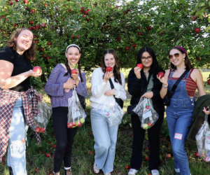 Picking apples for Rosh Hashana!