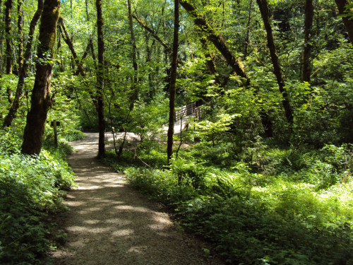 A trail in the park. Tryon Creek State Park offers 8 miles of hiking trails, 3.5 miles of horse trail and a 3-mile paved bicycle trail. H...