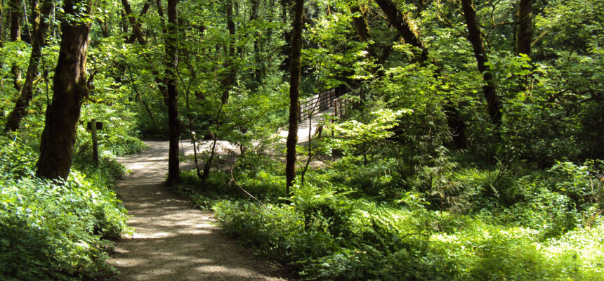 A trail in the park. Tryon Creek State Park offers 8 miles of hiking trails, 3.5 miles of horse t...