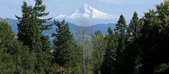 Looking east from the Frank Manor House is a spectacular view of Mt. Hood. E 47 miles