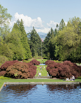 View of Mt. Hood from campus