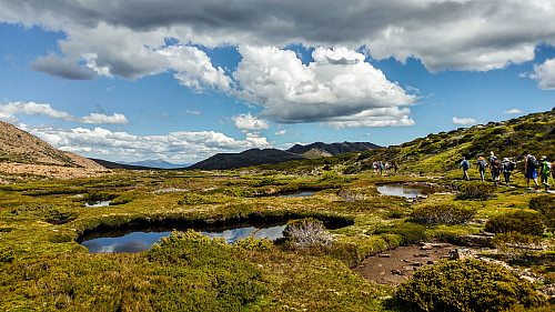 by Kellsy Nava-Lopez