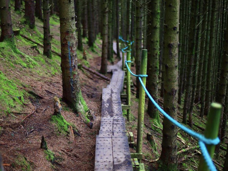 The narrow steps of the Queen Maeve Trail.