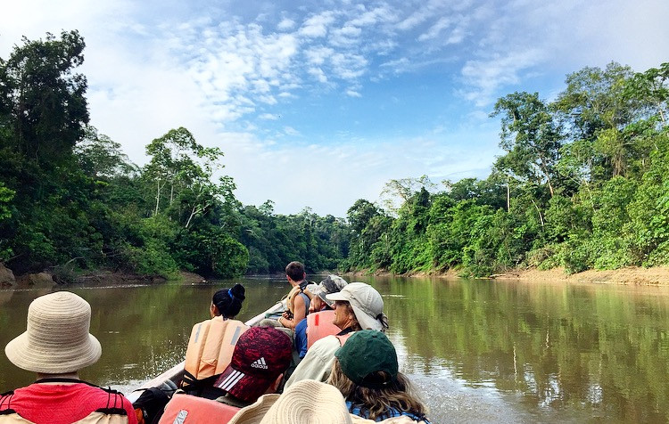 by Carmel Companiott