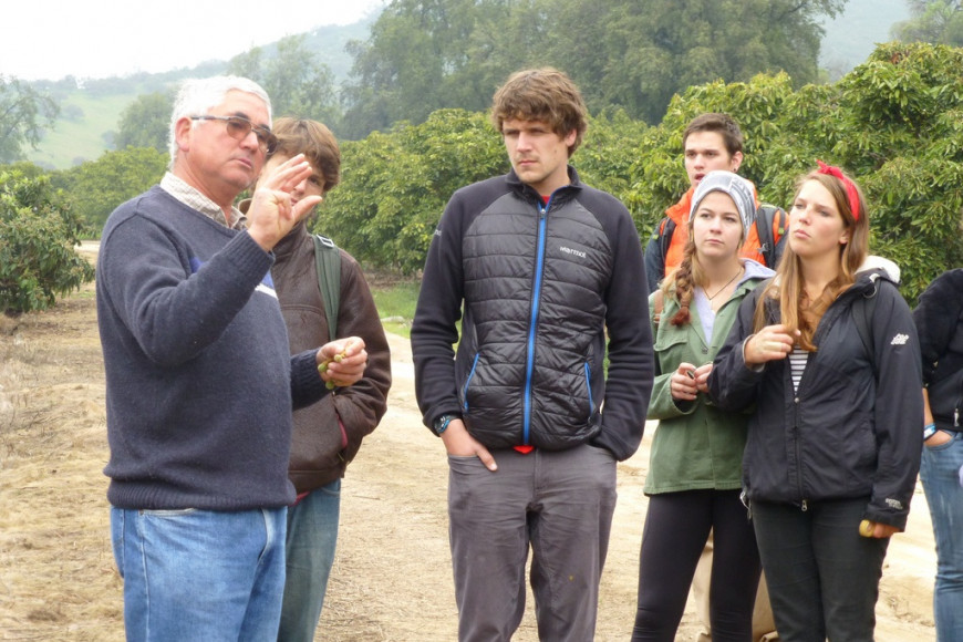 Lewis and Clarkians learning about bees and citrus fruit