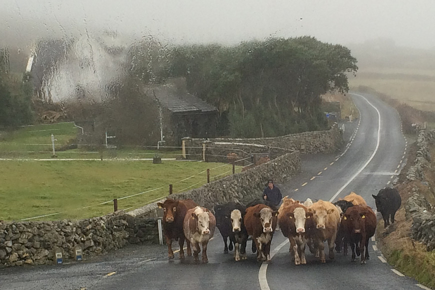 Typical views in western Ireland