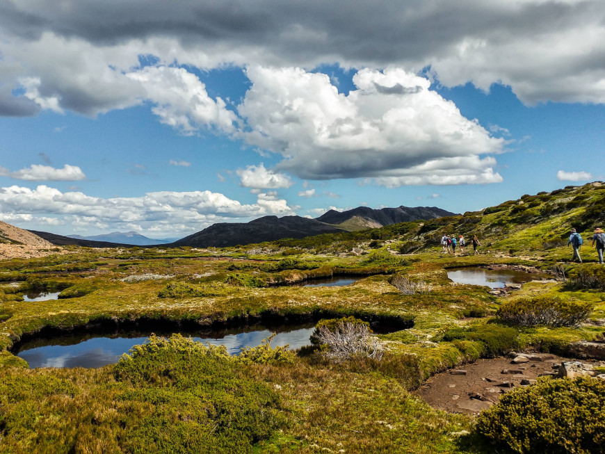 by Kellsy Nava-Lopez