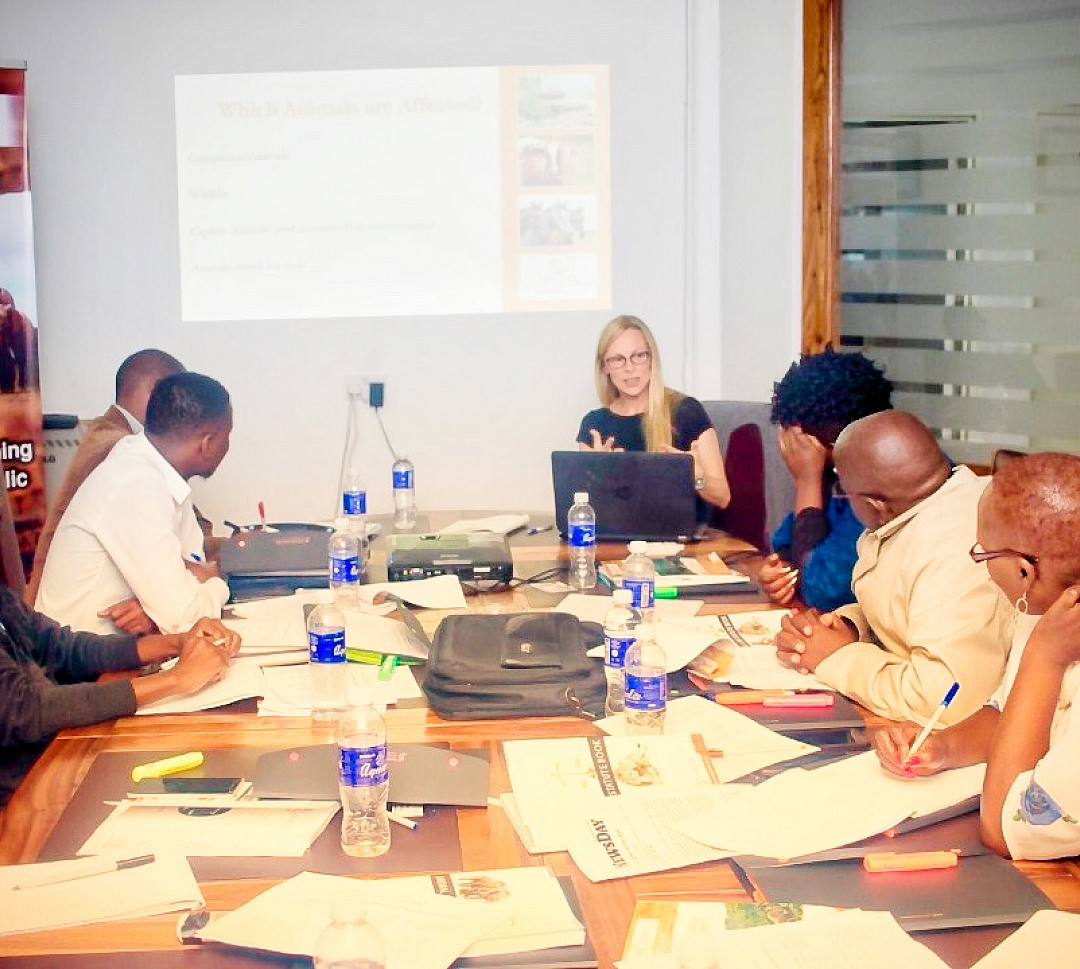 Natasha Dolezal speaking to Zimbabwean prosecutors about animal law in the United States, the role of prosecutors, and animal law issues ...