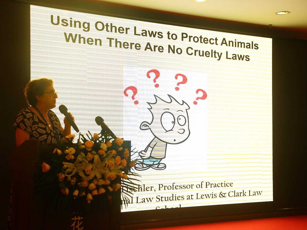 Joyce Tischler, Animal Law Professor of Practice speaking at the 1st China Animal Law Forum.