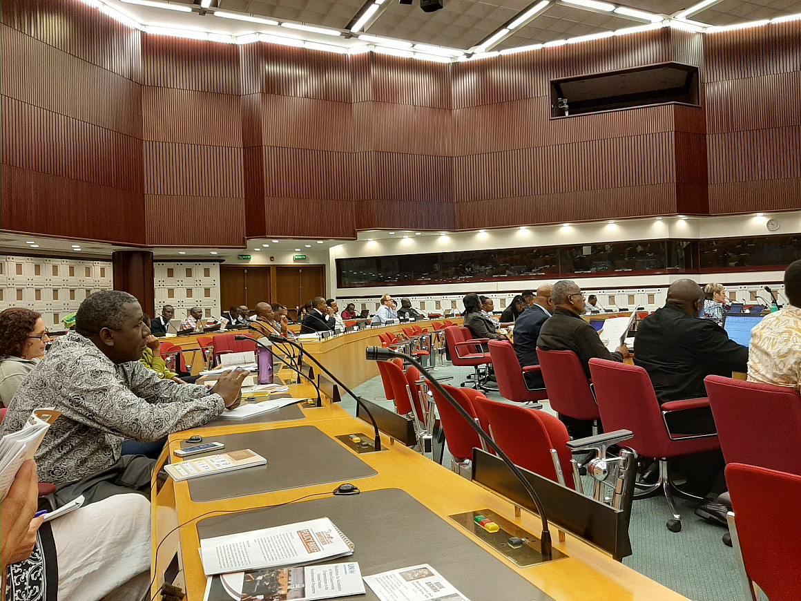 3rd Africa Animal Welfare Conference Audience