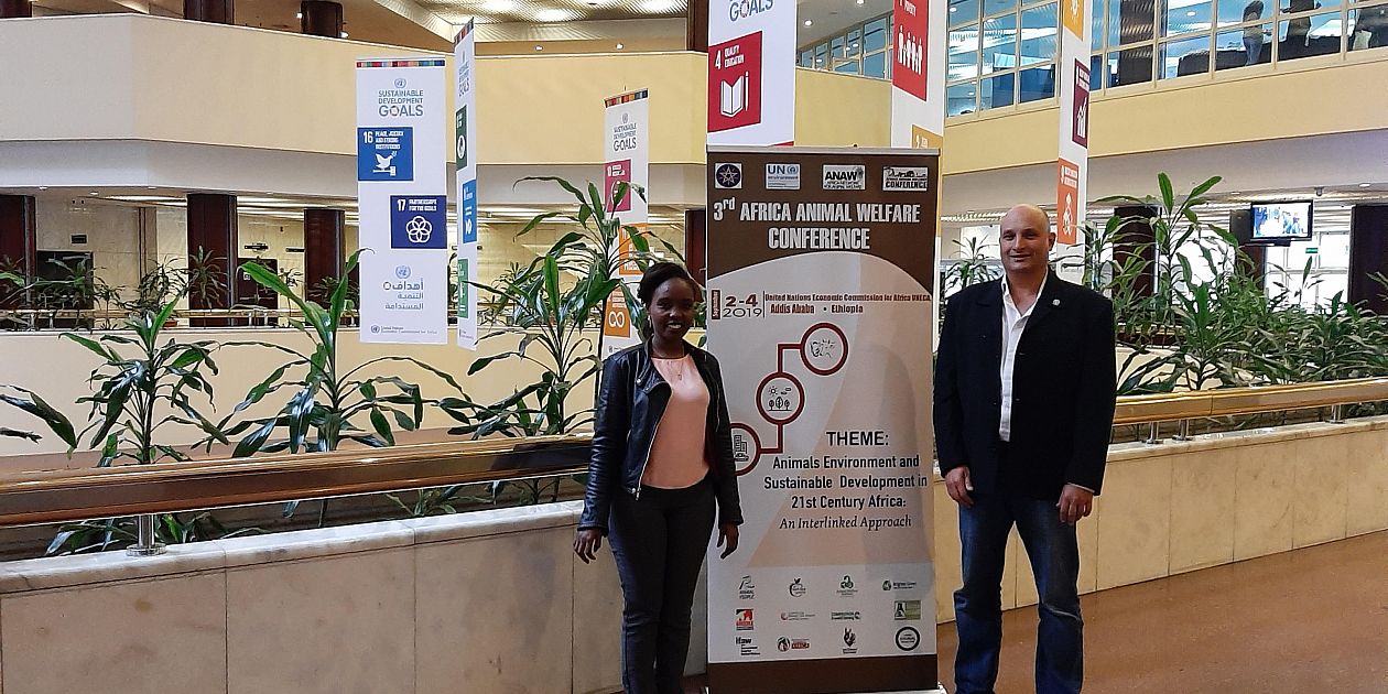 Ethiopia Shines A Light On Animal Protection: The 3rd Africa Animal ...