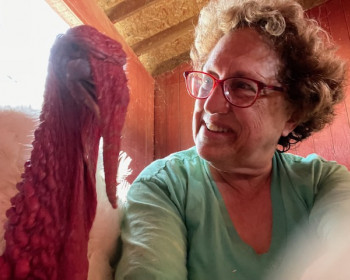 Professor Tischler and Pistachio, one of her turkey boyfriends at Animal Place sanctuary.